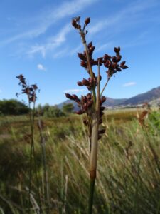 お揃いのパジャマで夫婦の絆を深める方法は？