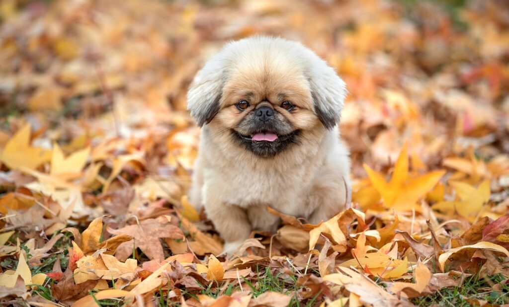 今年の敬老の日はいつなのか知りたい？