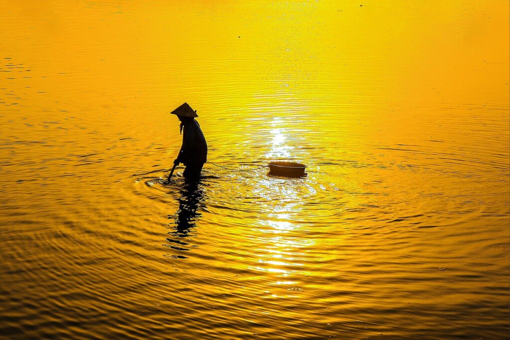 敬老の日に贈る通販の人気ランキングは？