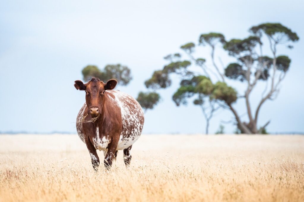 敬老の日に贈る入院中の方におすすめの実用グッズは？