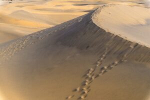 敬老の日に贈る温泉旅行券のおすすめギフトは？